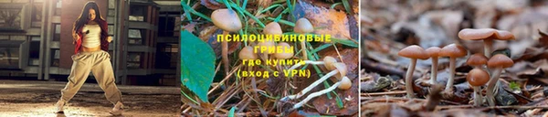 бутират Балабаново