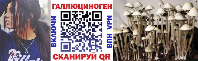 как найти Кремёнки Галлюциногенные грибы мухоморы